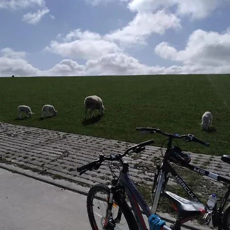 Dom wakacyjny Hygge4 Carolinensiel