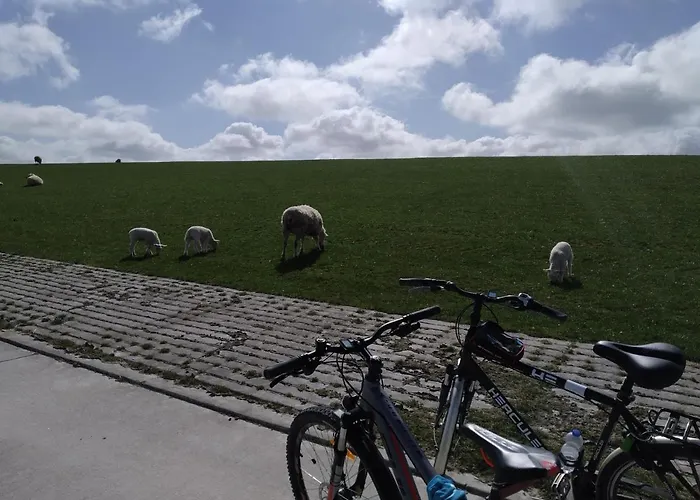 Tatil Evi Hygge4 Carolinensiel