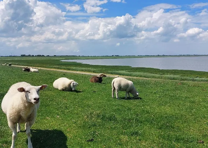 Hygge4 * Carolinensiel